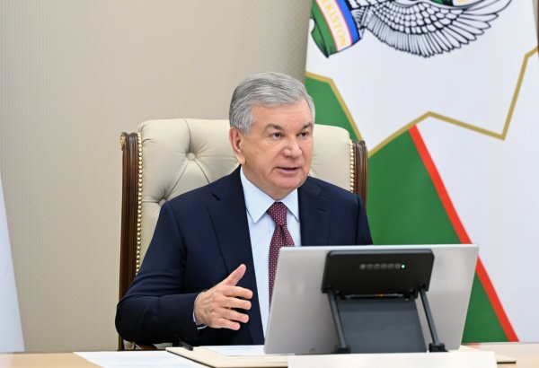 Özbəkistan 2027-ci ilin türk dünyasında “Ekologiyanın mühafizəsi ili” elan edilməsini təklif edir