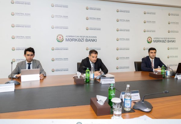 AMB və AİB maliyyə sektorunun inkişafı üzrə birgə təşəbbüsləri müzakirə edib (FOTO)