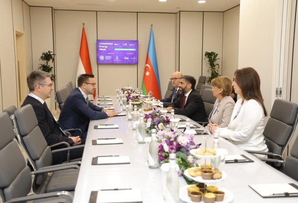 SOCAR və "MOL Group" arasında Azərbaycanda birgə upstream-layihələri müzakirə olunub