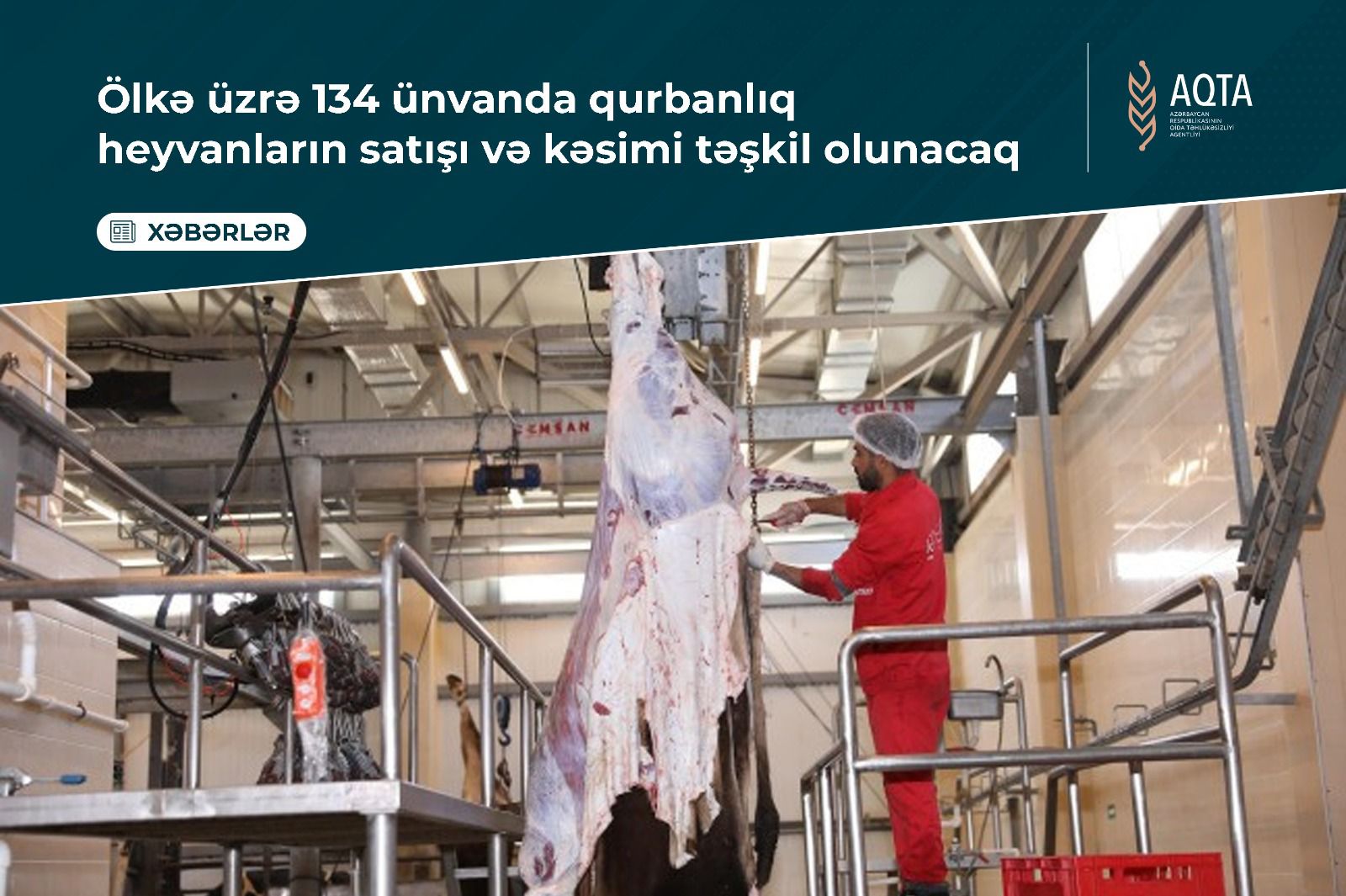 Qurbanlıq heyvanların satış və kəsim ünvanları açıqlandı