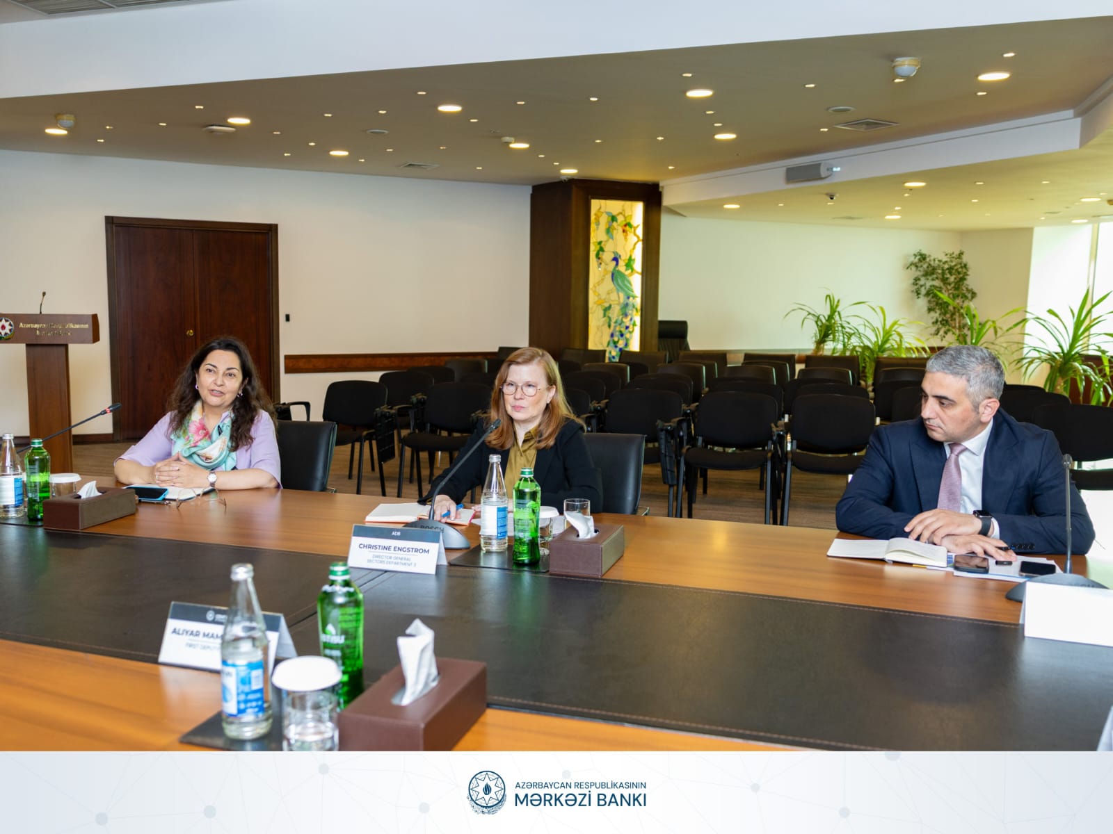 AMB və AİB maliyyə sektorunun inkişafı üzrə birgə təşəbbüsləri müzakirə edib (FOTO)