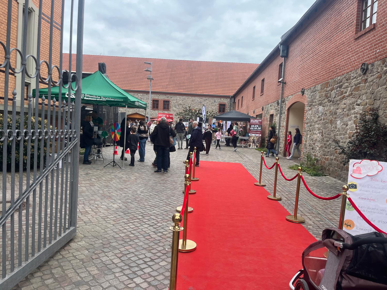 Almaniyada Ulu Öndər Heydər Əliyevin əziz xatirəsinə həsr edilən idman festivalı keçirilib (FOTO)