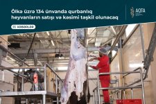 Qurbanlıq heyvanların satış və kəsim ünvanları açıqlandı