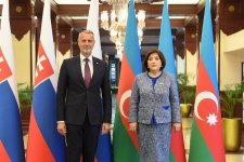 Sahibə Qafarova Slovakiya Milli Şurasının sədri ilə görüşüb (FOTO)