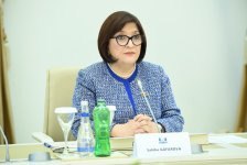 Sahibə Qafarova Slovakiya Milli Şurasının sədri ilə görüşüb (FOTO)