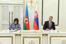Sahibə Qafarova Slovakiya Milli Şurasının sədri ilə görüşüb (FOTO)