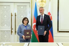 Sahibə Qafarova Slovakiya Milli Şurasının sədri ilə görüşüb (FOTO)