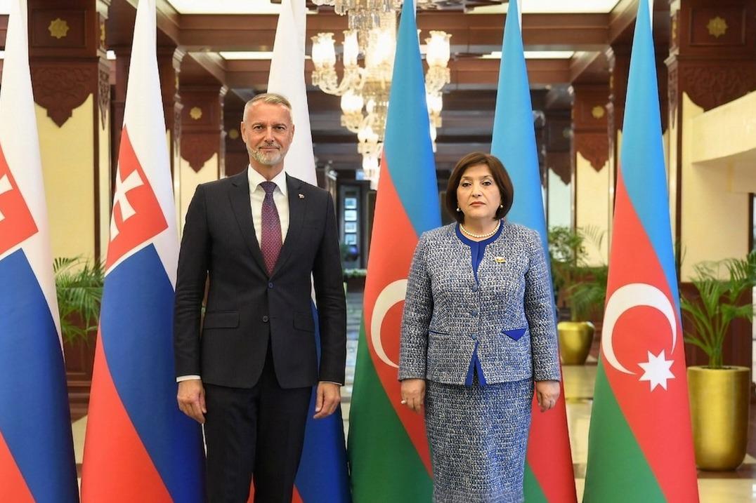 Sahibə Qafarova Slovakiya Milli Şurasının sədri ilə görüşüb (FOTO)
