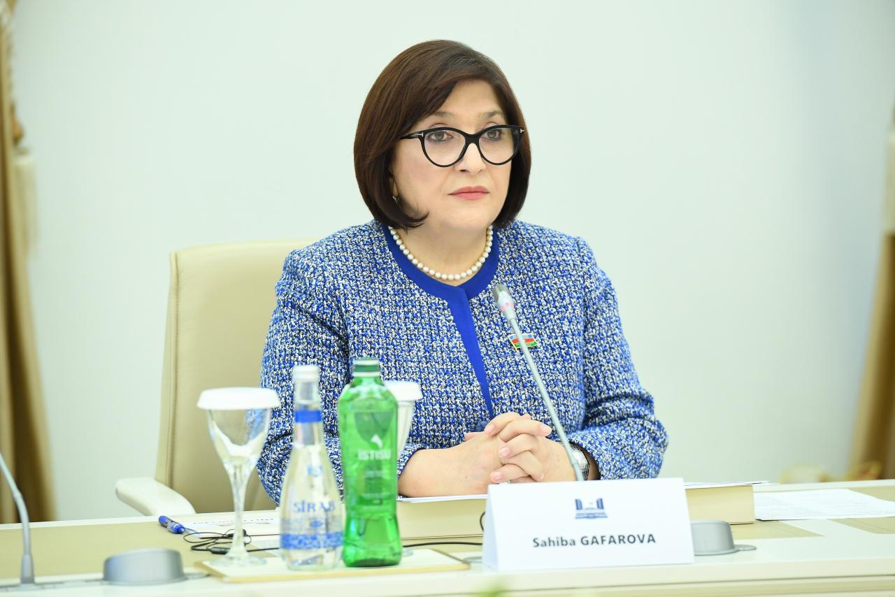 Sahibə Qafarova Slovakiya Milli Şurasının sədri ilə görüşüb (FOTO)