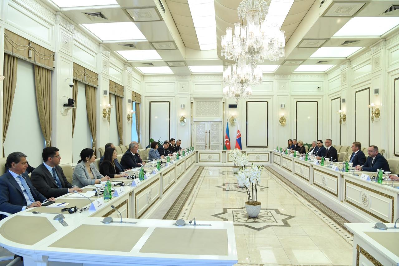 Sahibə Qafarova Slovakiya Milli Şurasının sədri ilə görüşüb (FOTO)