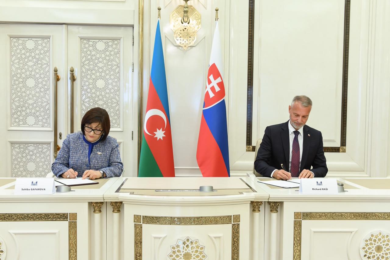 Sahibə Qafarova Slovakiya Milli Şurasının sədri ilə görüşüb (FOTO)
