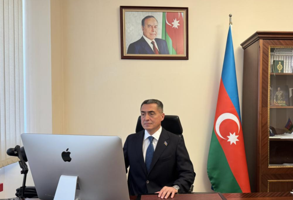 Milli Məclisin komitə sədri beynəlxalq konfransda çıxış edib (FOTO)