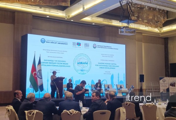 Azərbaycan iqtisadiyyatın bütün sahələri üzrə son istehlakın elektrikləşdirilməsinə hədəflənib - Rəna Hümbətova