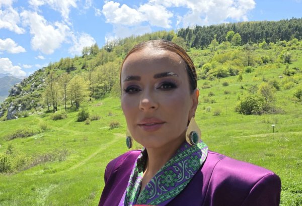 “Xarıbülbül” festivalı yalnız mədəni deyil, həm də dərin tarixi əhəmiyyət daşıyır - Tünzalə Ağayeva