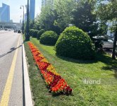 Bakı WUF13 ərəfəsində gül-çiçəyə bürünüb (FOTOREPORTAJ)