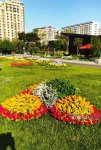 Bakı WUF13 ərəfəsində gül-çiçəyə bürünüb (FOTOREPORTAJ)