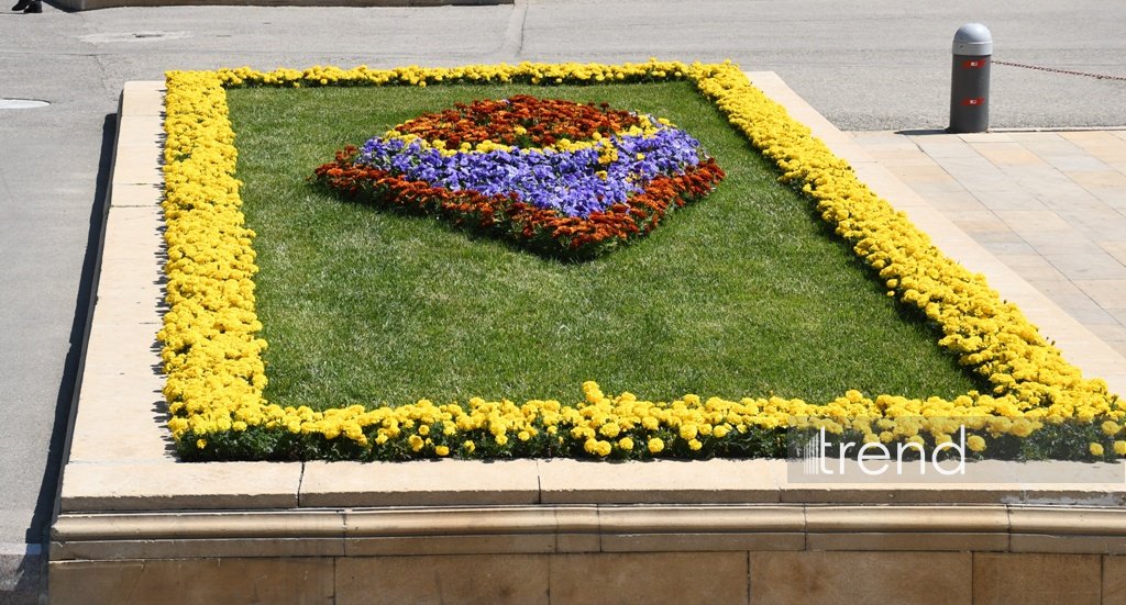Bakı WUF13 ərəfəsində gül-çiçəyə bürünüb (FOTOREPORTAJ)