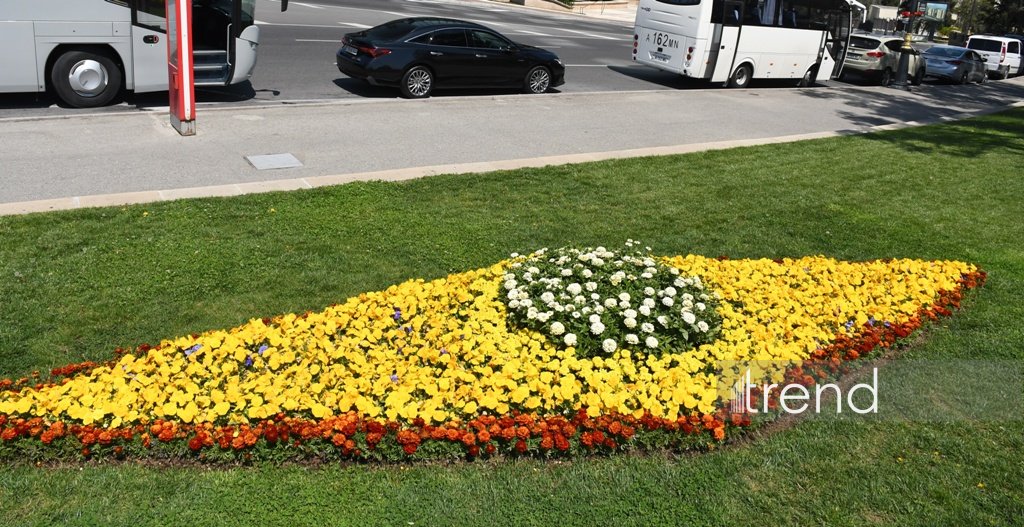 Bakı WUF13 ərəfəsində gül-çiçəyə bürünüb (FOTOREPORTAJ)