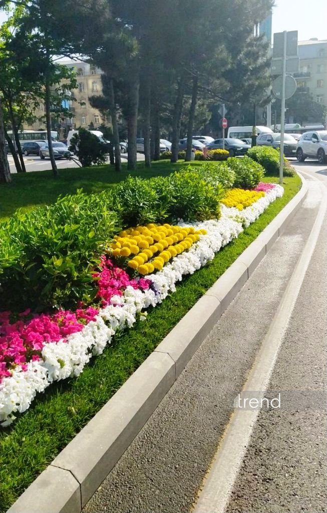 Bakı WUF13 ərəfəsində gül-çiçəyə bürünüb (FOTOREPORTAJ)