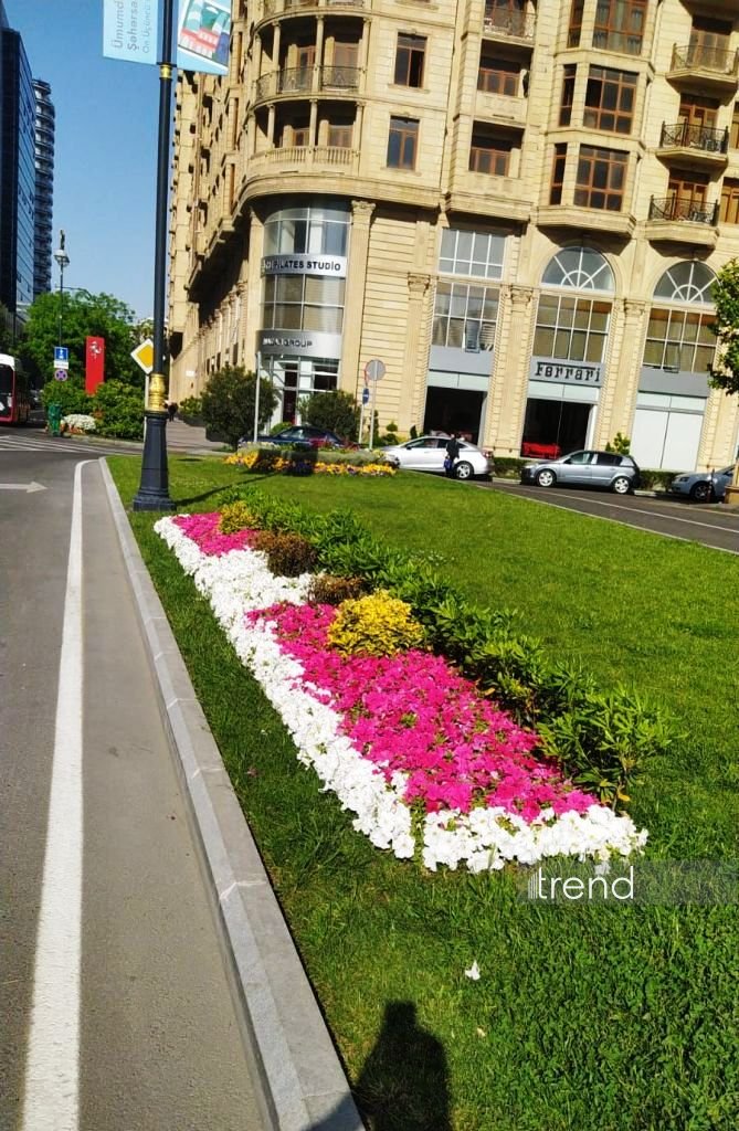 Bakı WUF13 ərəfəsində gül-çiçəyə bürünüb (FOTOREPORTAJ)