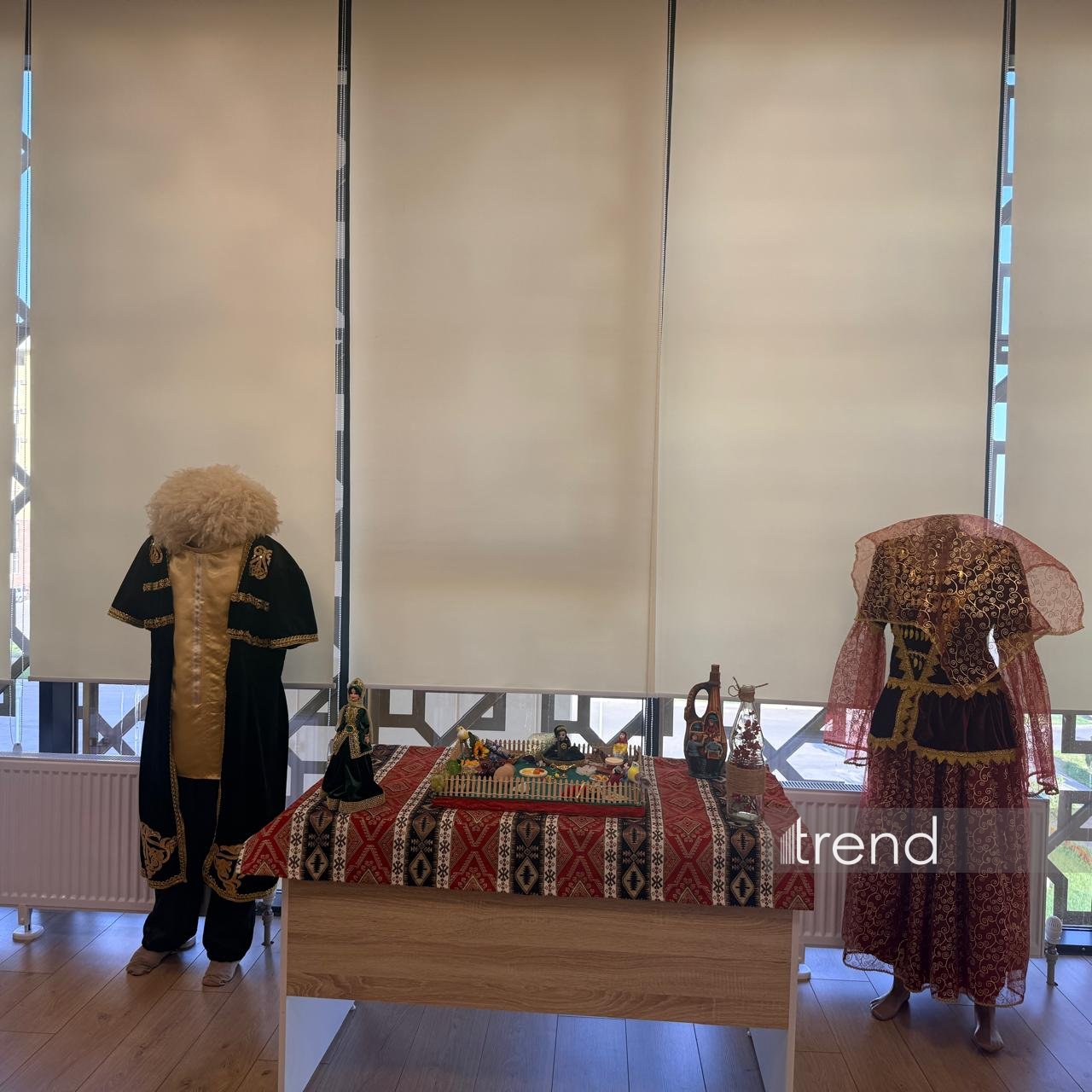 Çalışırıq Azərbaycan və Qazaxıstan arasında qızıl körpü yaradaq - Ramilə Mustafayeva