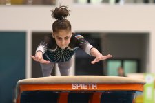 Gimnastlarımız turniri 16 medalla başa vurublar (FOTO)