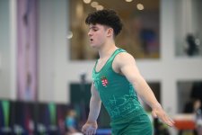 Gimnastlarımız turniri 16 medalla başa vurublar (FOTO)