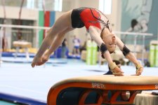 Gimnastlarımız turniri 16 medalla başa vurublar (FOTO)
