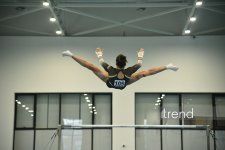 Gimnastlarımız turniri 16 medalla başa vurublar (FOTO)