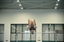 Gimnastlarımız turniri 16 medalla başa vurublar (FOTO)