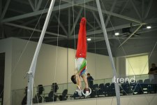 Gimnastlarımız turniri 16 medalla başa vurublar (FOTO)