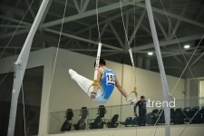 Gimnastlarımız turniri 16 medalla başa vurublar (FOTO)