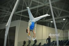 Gimnastlarımız turniri 16 medalla başa vurublar (FOTO)