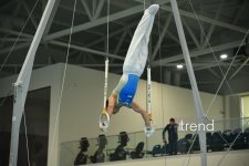 Gimnastlarımız turniri 16 medalla başa vurublar (FOTO)