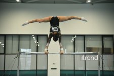 Gimnastlarımız turniri 16 medalla başa vurublar (FOTO)