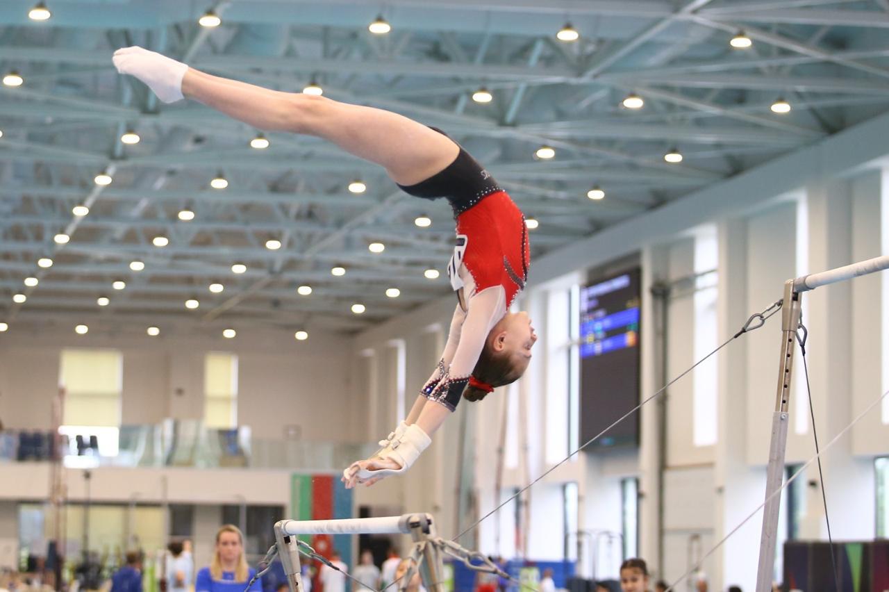 Gimnastlarımız turniri 16 medalla başa vurublar (FOTO)