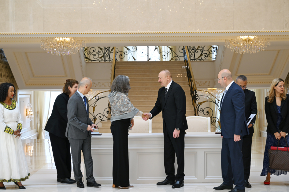 Prezident İlham Əliyev BMT-nin Məskunlaşma Proqramının icraçı direktorunu qəbul edib (FOTO)