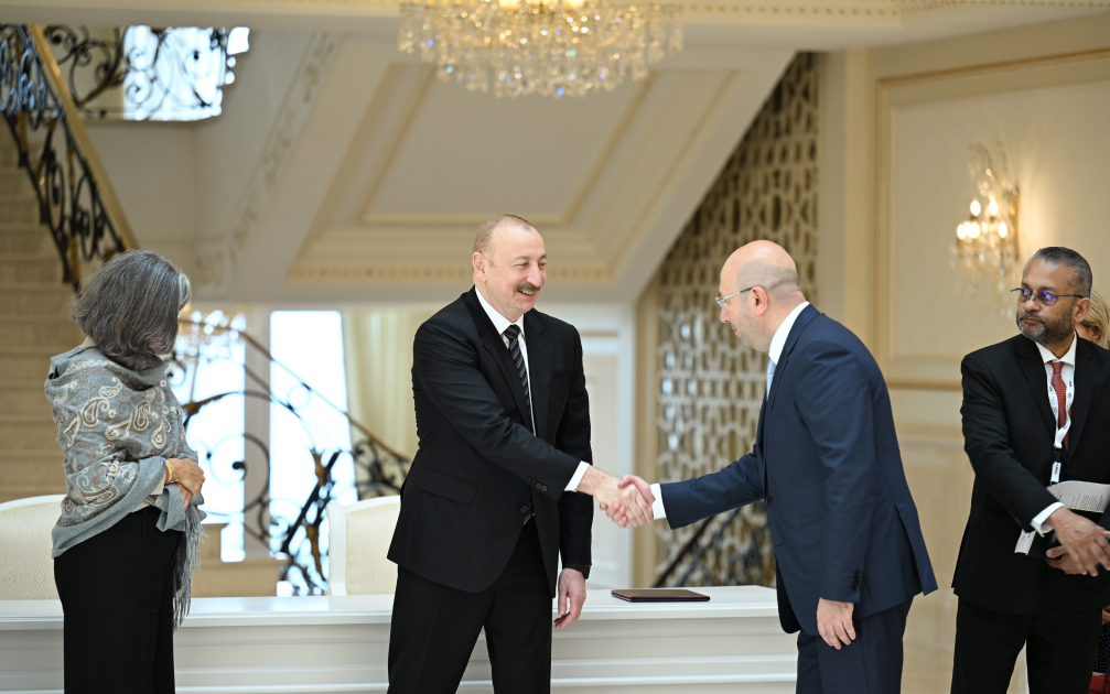 Prezident İlham Əliyev BMT-nin Məskunlaşma Proqramının icraçı direktorunu qəbul edib (FOTO)