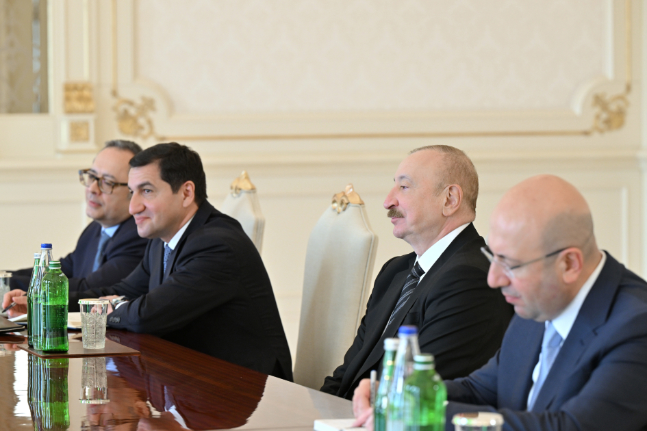 Prezident İlham Əliyev BMT-nin Məskunlaşma Proqramının icraçı direktorunu qəbul edib (FOTO)