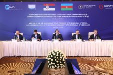 Serbiya Prezidenti ilə Azərbaycanın biznes nümayəndələri arasında görüş keçirilib (FOTO)