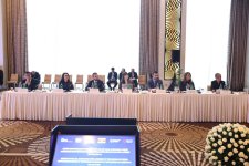Serbiya Prezidenti ilə Azərbaycanın biznes nümayəndələri arasında görüş keçirilib (FOTO)