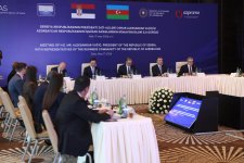 Serbiya Prezidenti ilə Azərbaycanın biznes nümayəndələri arasında görüş keçirilib (FOTO)