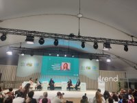"Qadınlar assambleyası: Gender baxımından transformativ strategiyaların birgə yaradılması" adlı sessiyanın açılışı keçirilir (FOTO)