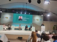 "Qadınlar assambleyası: Gender baxımından transformativ strategiyaların birgə yaradılması" adlı sessiyanın açılışı keçirilir (FOTO)