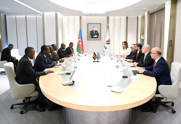 SOCAR-ın prezidenti Keniya Respublikasının Prezidenti ilə görüşüb (FOTO)