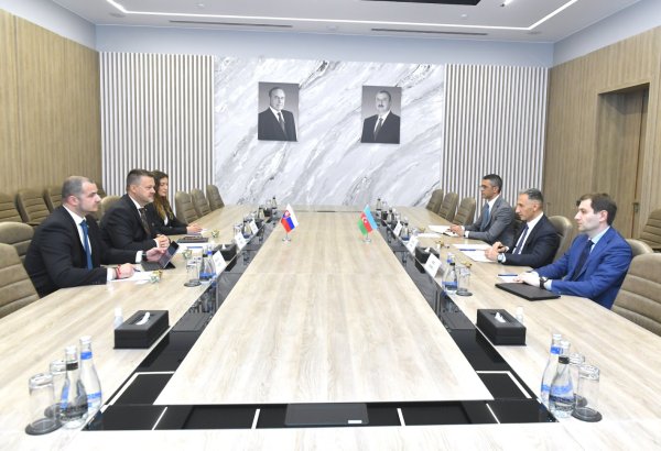 Nazir Rəşad Nəbiyev Slovakiyanın investisiyalar, regional inkişaf və informasiya naziri ilə görüşüb (FOTO)