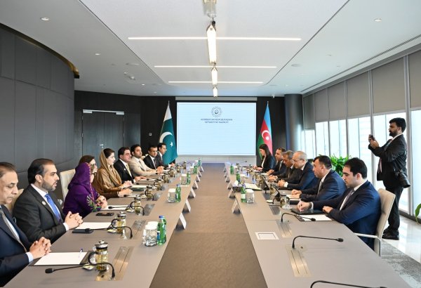 Mikayıl Cabbarov Pəncab əyalətinin Baş naziri ilə görüşüb (FOTO)