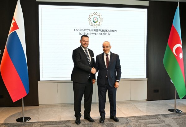 Slovakiya ilə iqtisadi-ticarət əməkdaşlığı müzakirə edilib (FOTO)
