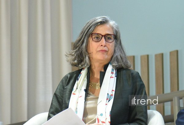 Qarabağ və Şərqi Zəngəzurda bərpa işləri vahid ərazi baxışına əsaslanır - Anaklaudia Rossbax