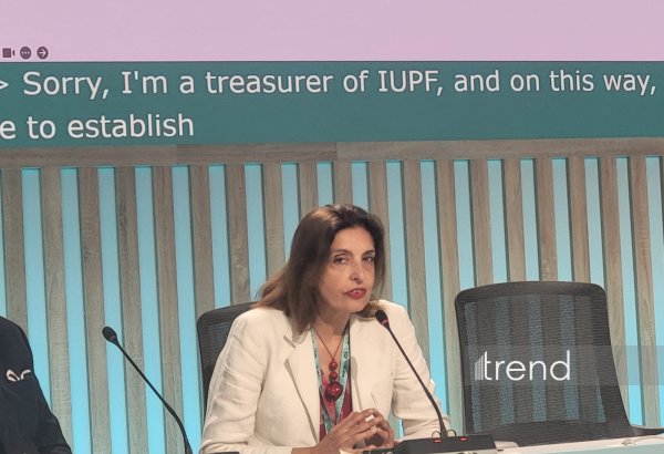 Şəhər dayanıqlığı təkcə infrastrukturdan asılı deyil - serbiyalı professor